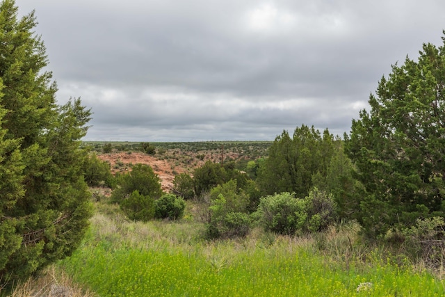 view of landscape