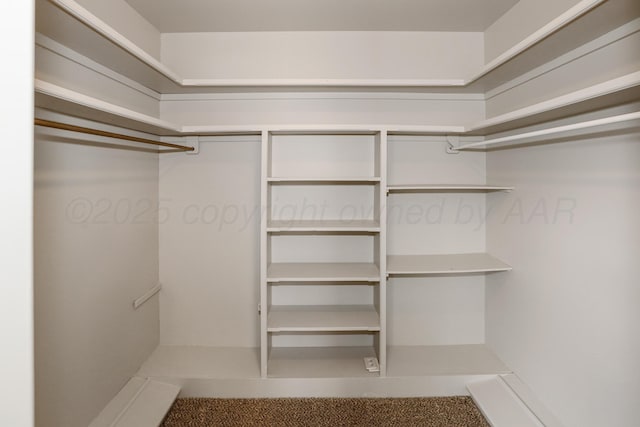 3506 Barclay Dr, Amarillo, TX 79109 - view of spacious closet