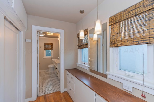 bathroom featuring vanity, toilet, and wood-type flooring