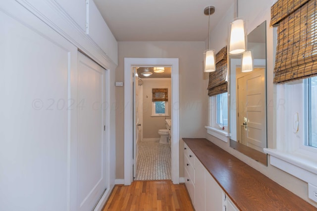 interior space featuring wood-type flooring, vanity, and toilet