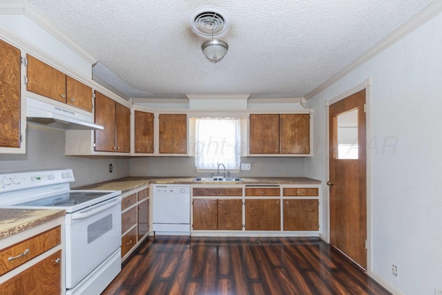 kitchen with white appliances, brown cabinetry, dark wood-type flooring, under cabinet range hood, and a sink