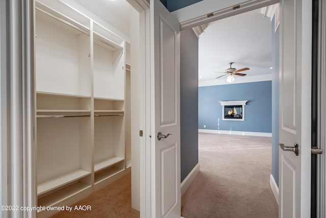 2223 S Ong St, Amarillo, TX 79109 - view of closet