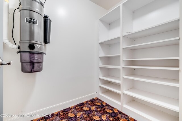 2223 S Ong St, Amarillo, TX 79109 - view of spacious closet