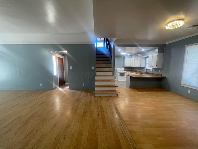 unfurnished living room with light hardwood / wood-style floors, sink, and crown molding