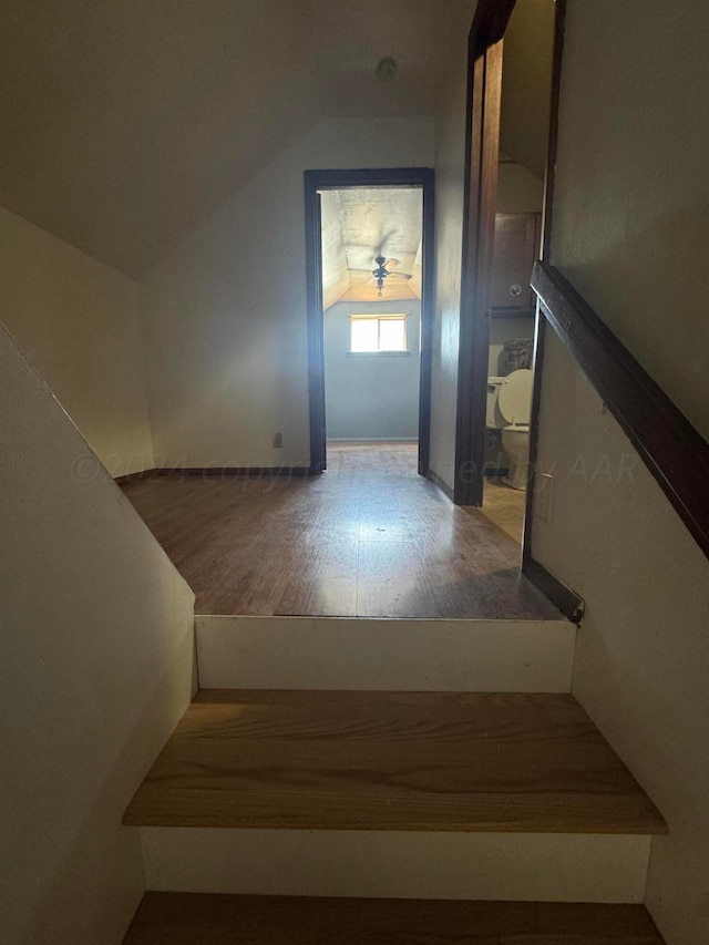 stairway featuring lofted ceiling, hardwood / wood-style flooring, and ceiling fan