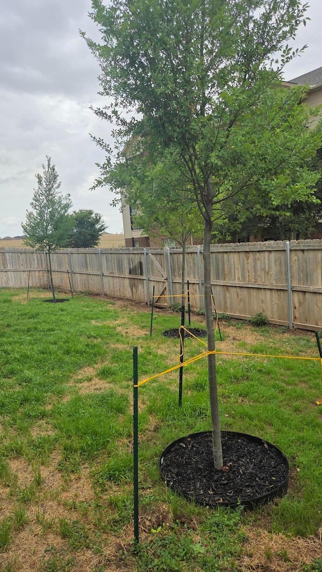 8908 Zoe Dr, Amarillo, TX 79119 - view of fenced backyard