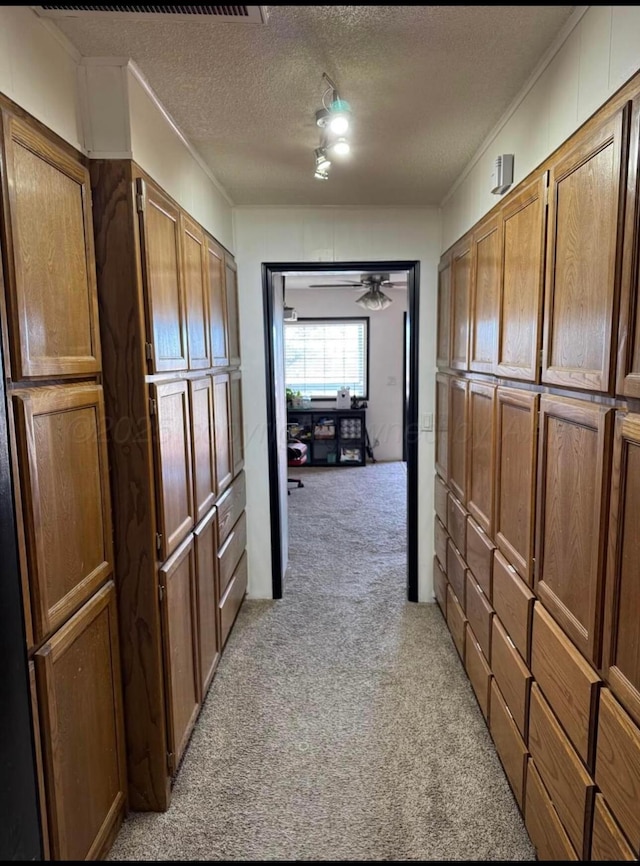 100 Bunavista St, Borger, TX 79007 - hall featuring light colored carpet and a textured ceiling