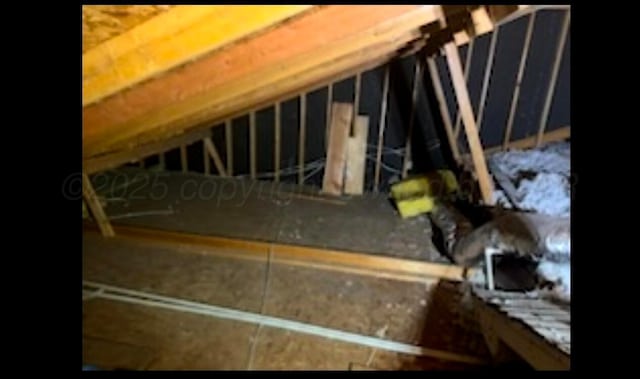 100 Bunavista St, Borger, TX 79007 - view of attic