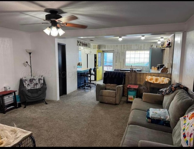 100 Bunavista St, Borger, TX 79007 - living room featuring ceiling fan and carpet