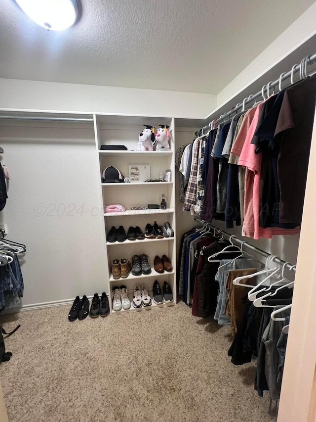 walk in closet with carpet floors