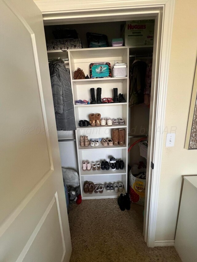 view of closet