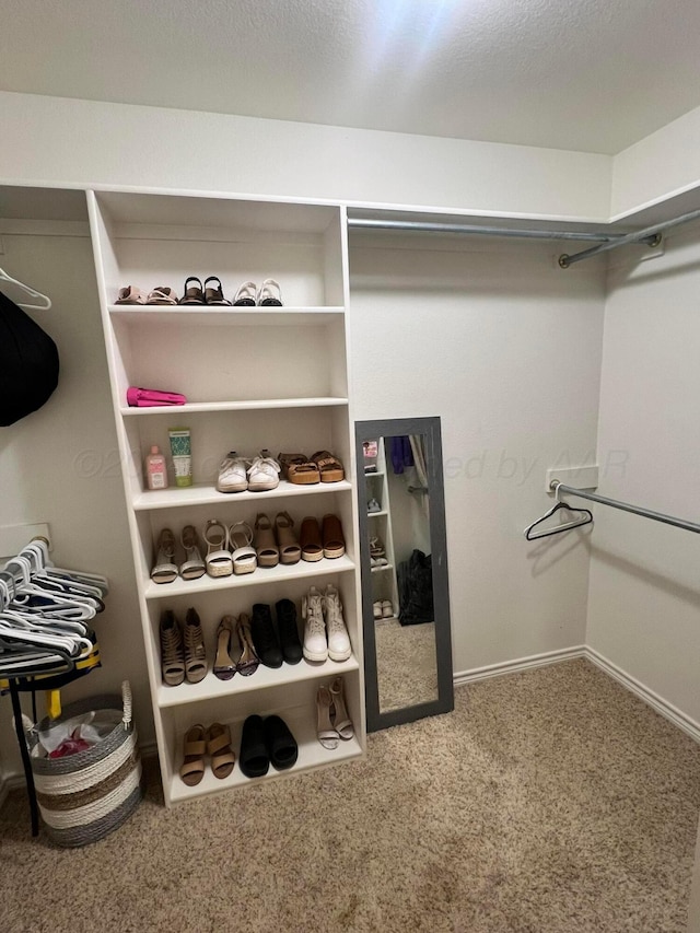 spacious closet with carpet flooring