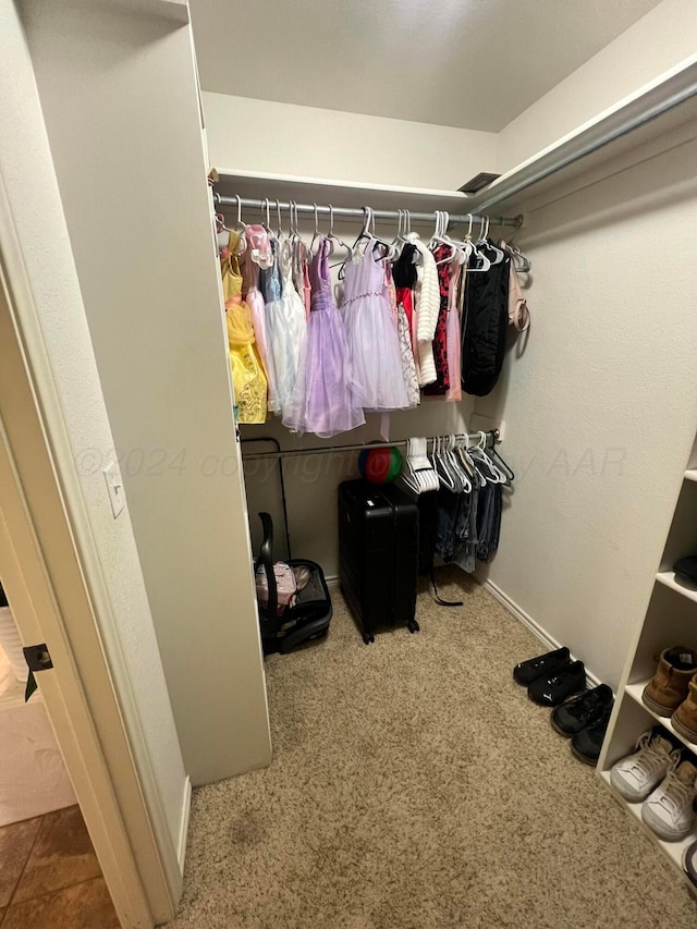 spacious closet with carpet floors