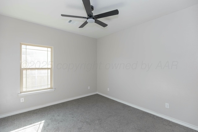 2807 Tampa Bay Ave, Amarillo, TX 79118 - photo 38