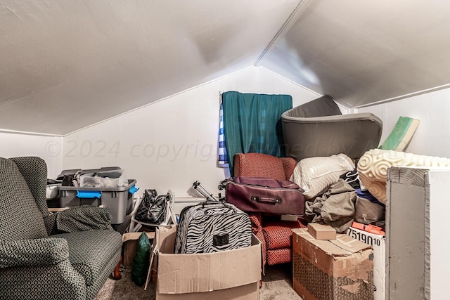 additional living space featuring lofted ceiling and carpet flooring