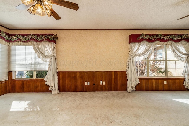 2723 County Road O, Friona, TX 79035 - empty room featuring a textured ceiling, wooden walls, a ceiling fan, wainscoting, and carpet flooring