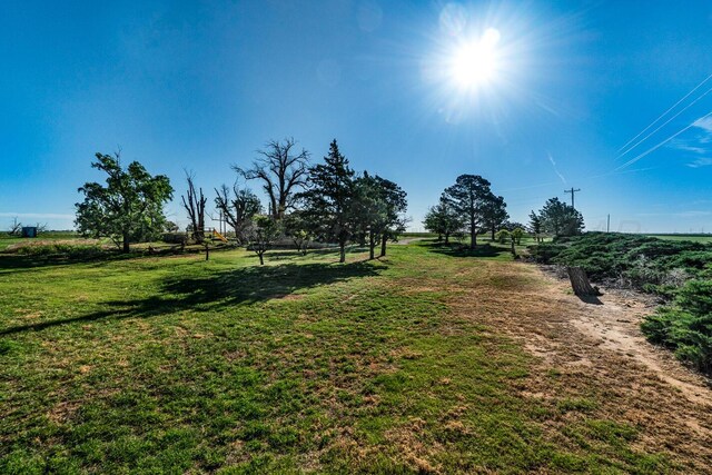 2723 County Road O, Friona, TX 79035 - view of grassy yard featuring a view of countryside