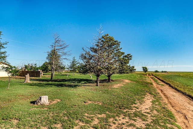 2723 County Road O, Friona, TX 79035 - view of green lawn featuring a view of countryside