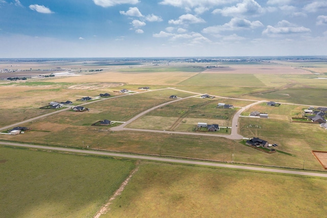 1317 Silverman Rd, Amarillo, TX 79124 - photo 9