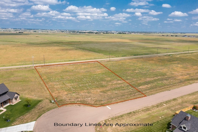 1317 Silverman Rd, Amarillo, TX 79124 - photo 1