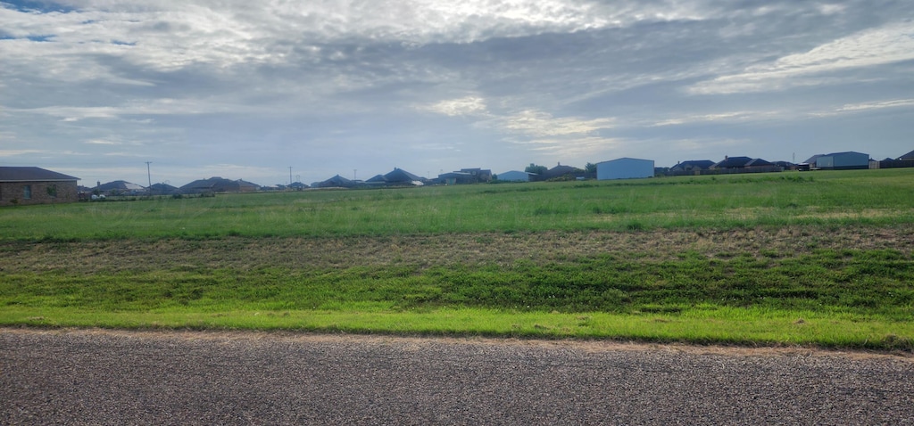 5351 Buffalo Springs Trl, Amarillo, TX 79119 - photo 2