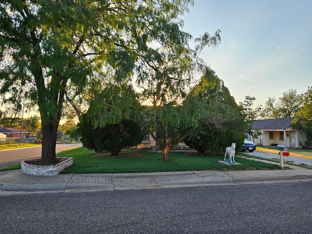 81 N Virginia St, Amarillo, TX 79106 - obstructed view of property featuring a front lawn