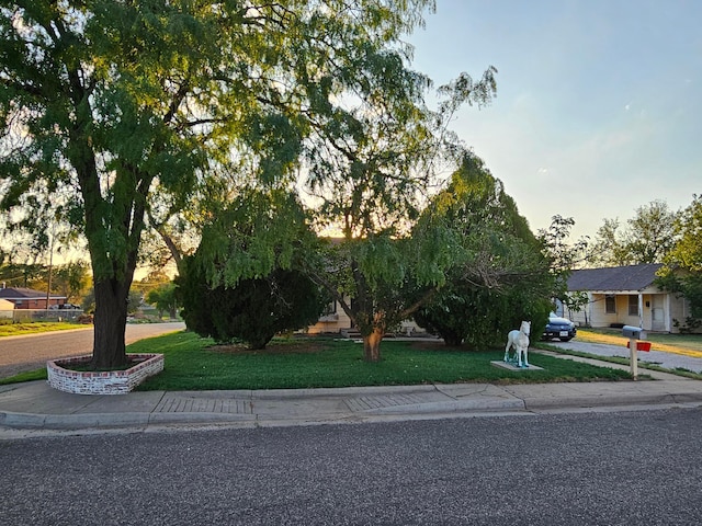 81 N Virginia St, Amarillo, TX 79106 - obstructed view of property featuring a front lawn