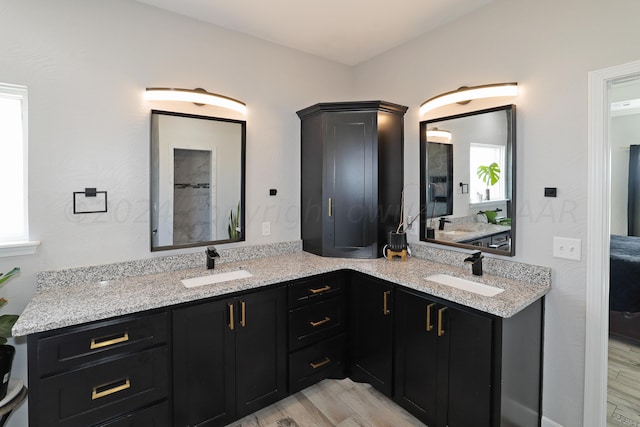 bathroom featuring hardwood / wood-style floors and vanity