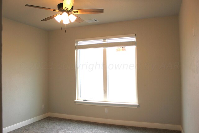 9950 Pinesap Ln, Amarillo, TX 79119 - photo 21