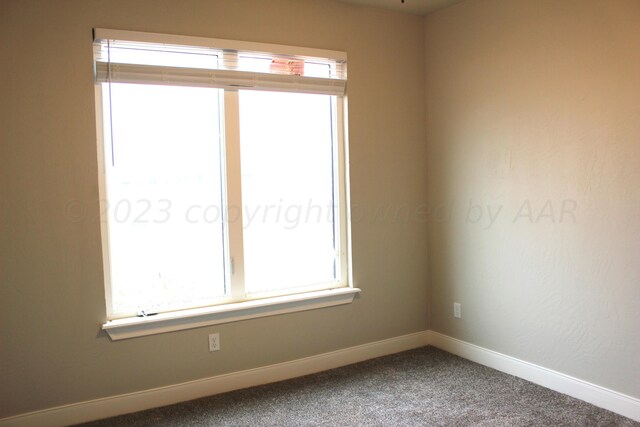 9950 Pinesap Ln, Amarillo, TX 79119 - photo 24