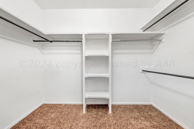 spacious closet with carpet flooring