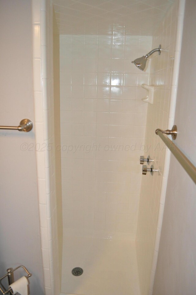 3411 Royal Rd, Amarillo, TX 79109 - bathroom with a shower stall