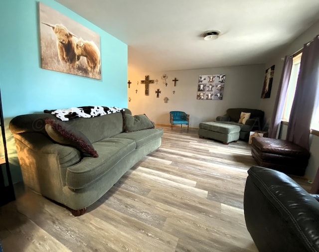 living room featuring hardwood / wood-style flooring