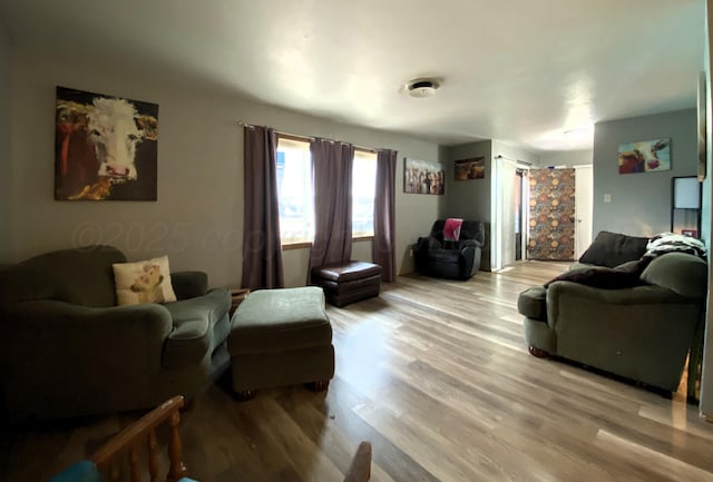 living room with wood-type flooring