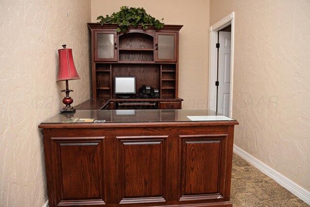411 E 6th St, Hereford, TX 79045 - carpeted office space featuring baseboards and a textured wall