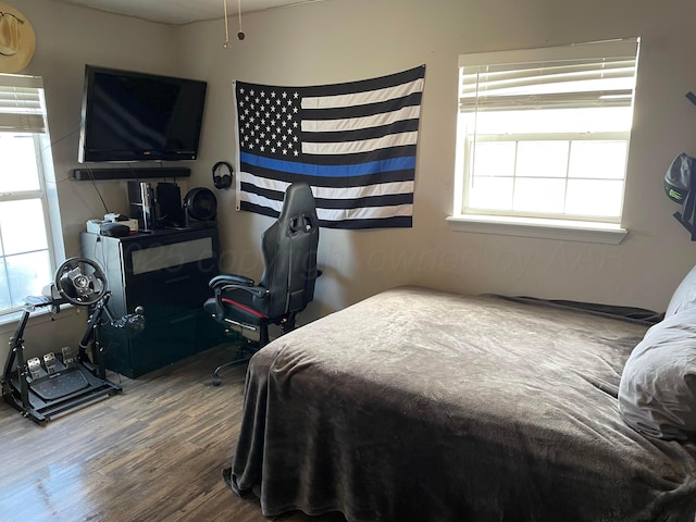 bedroom featuring multiple windows and wood finished floors