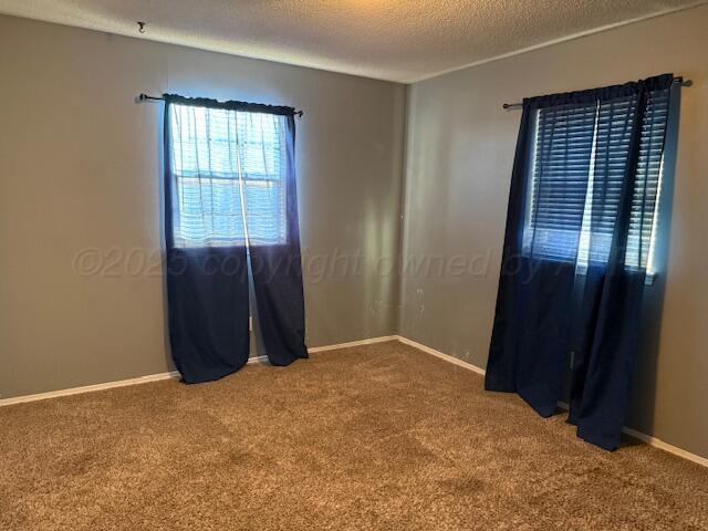 spare room with carpet, baseboards, and a textured ceiling