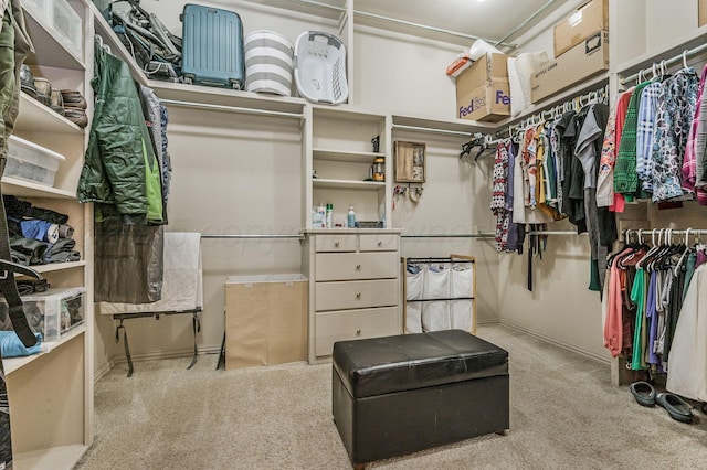 7 Pebble Beach Ct, Amarillo, TX 79124 - walk in closet with carpet flooring