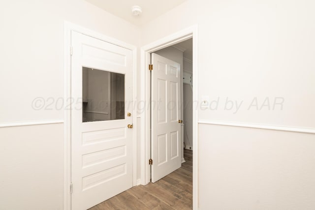 hallway featuring wood-type flooring