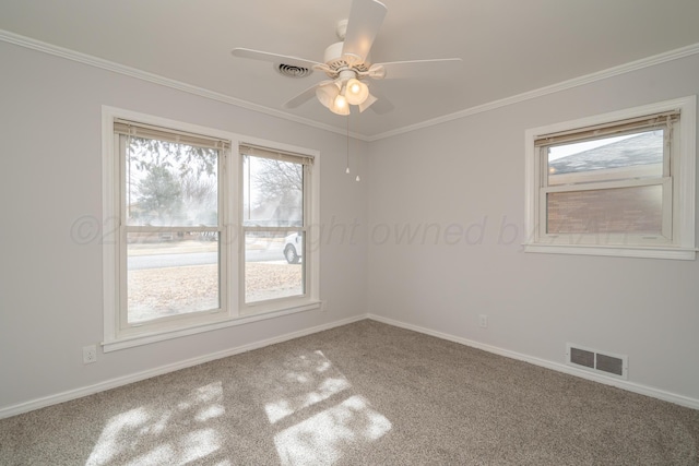 spare room with ornamental molding, ceiling fan, and carpet flooring