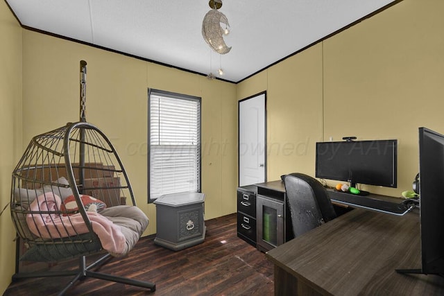 office featuring crown molding and dark hardwood / wood-style flooring