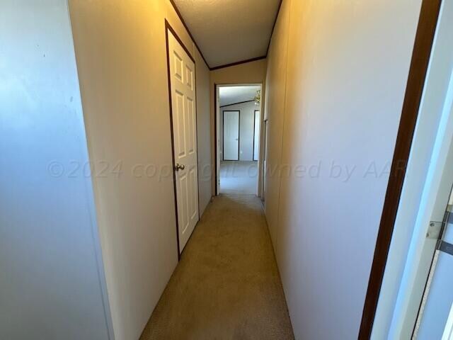 corridor featuring lofted ceiling and light colored carpet