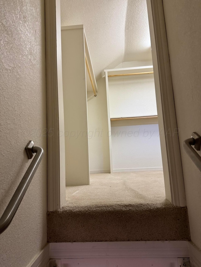5007 Wesley Rd, Amarillo, TX 79119 - walk in closet with lofted ceiling and carpet floors