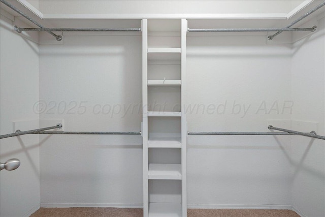 3610 S Mirror St, Amarillo, TX 79118 - walk in closet featuring carpet