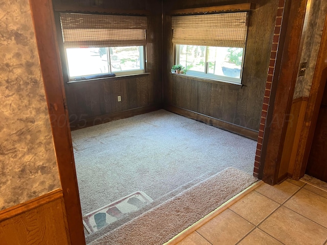 415 Mesquite Ave, Amarillo, TX 79108 - spare room with wooden walls and light colored carpet