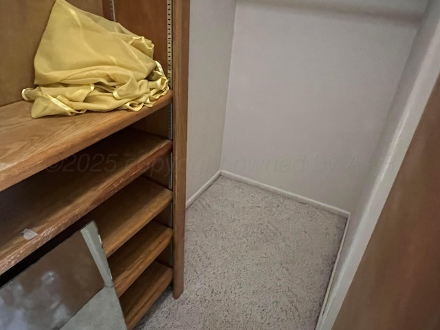 415 Mesquite Ave, Amarillo, TX 79108 - walk in closet with carpet flooring