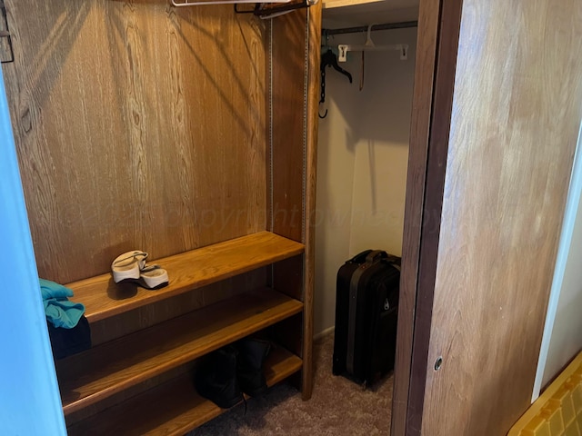 415 Mesquite Ave, Amarillo, TX 79108 - spacious closet featuring carpet floors