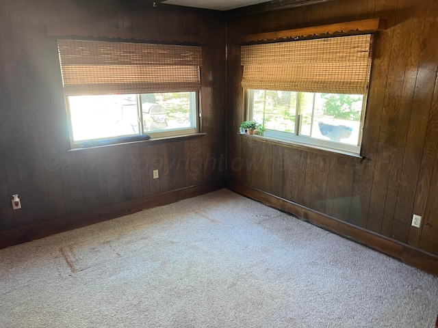 415 Mesquite Ave, Amarillo, TX 79108 - spare room featuring wood walls, carpet, and baseboards