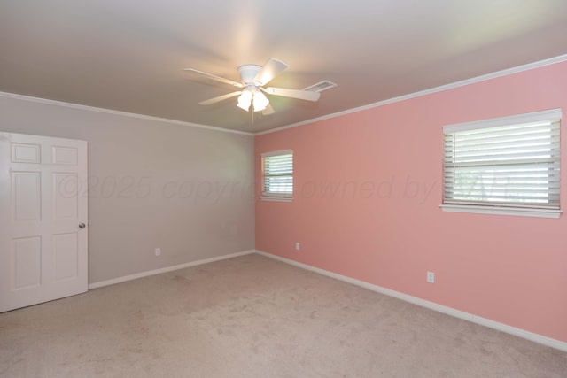 3417 Danbury Dr, Amarillo, TX 79109 - photo 40
