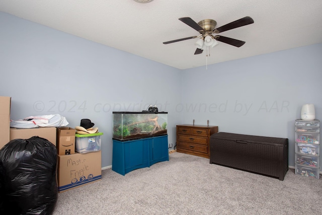 5117 Mesa Cir, Amarillo, TX 79109 - carpeted bedroom featuring a ceiling fan and baseboards